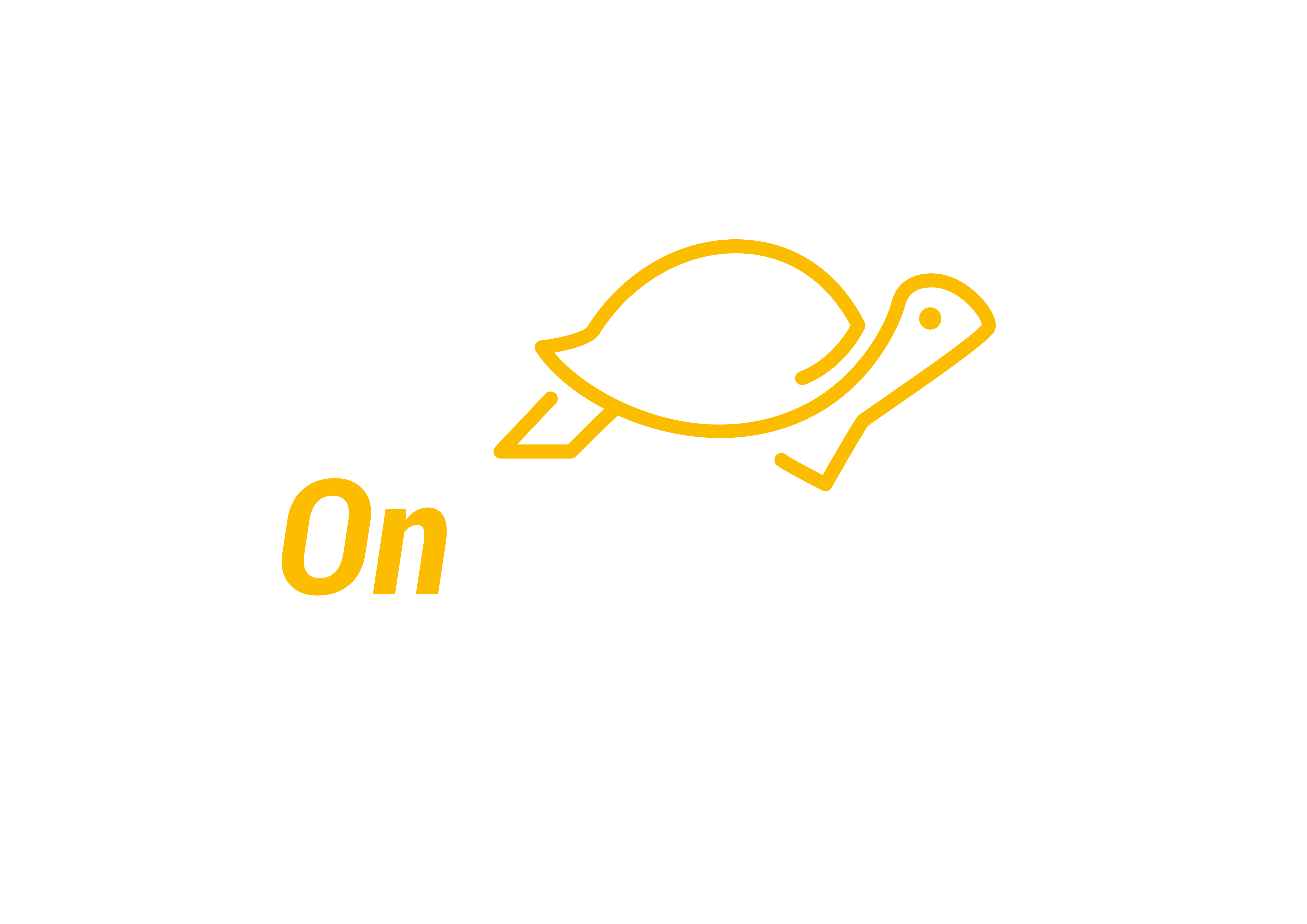 OnTurtle